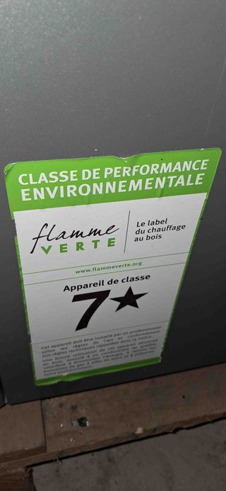 Caldera para calefacción de agua de pellenc Domusa