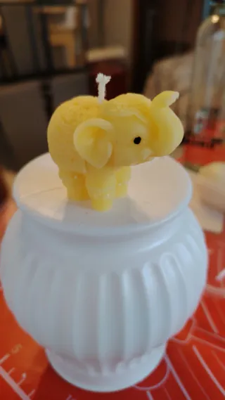 Candele con forme di animaletti