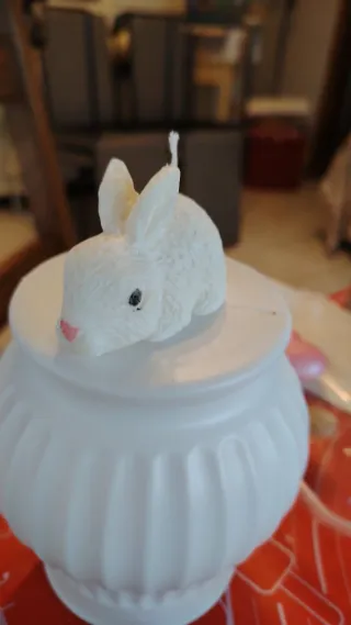 Candele con forme di animaletti