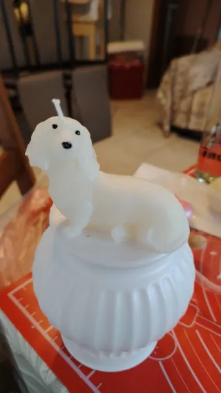 Candele con forme di animaletti