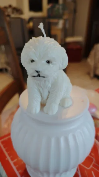 Candele con forme di animaletti