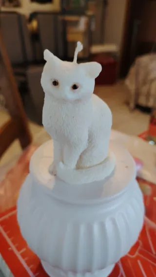 Candele con forme di animaletti