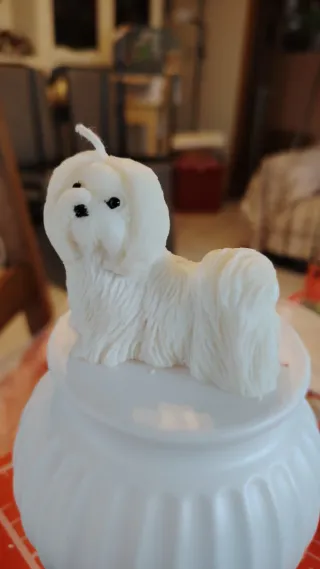 Candele con forme di animaletti