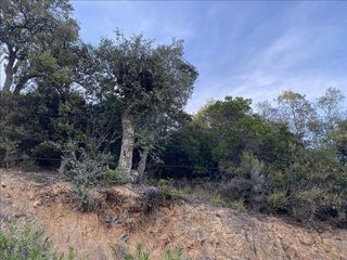 Terreno en venta en Cabanyes-Mas Ambrós-Mas Pallí en Calonge