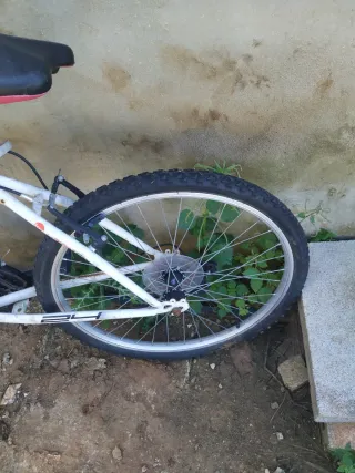 Bicicleta blanca