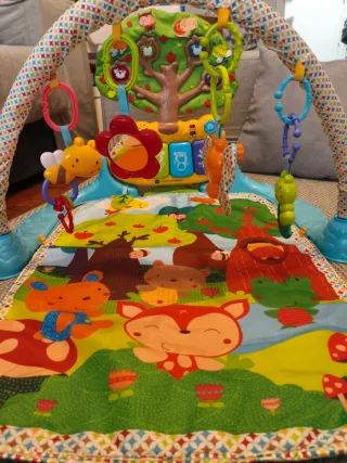 Gimnasio Manta Juego Vtech Infantil