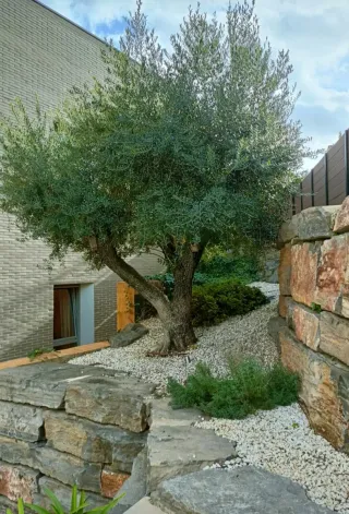 JARDINERO ECONÓMICO