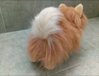 Peluche Perro Pomerania  Muy realista! ÚLTIMO!