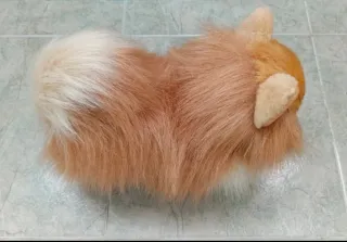 Peluche Perro Pomerania  Muy realista! ÚLTIMO!