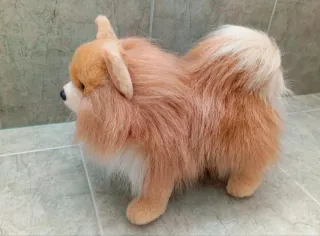 Peluche Perro Pomerania  Muy realista! ÚLTIMO!
