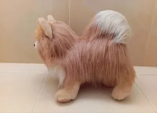 Peluche Perro Pomerania  Muy realista! ÚLTIMO!