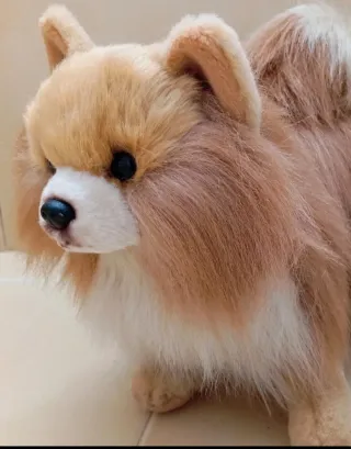 Peluche Perro Pomerania  Muy realista! ÚLTIMO!