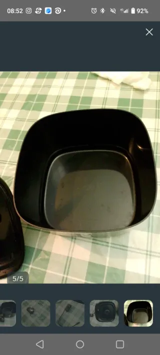 Fontanella per gatti