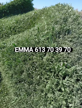 Césped artificial reciclado