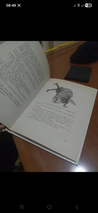 Il giardino bianco di Anna Sven