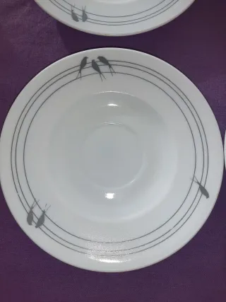 6 Piatti Arcopal Harmonia