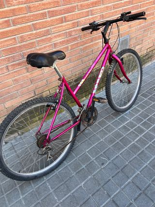 Bicicleta de montaña rosa
