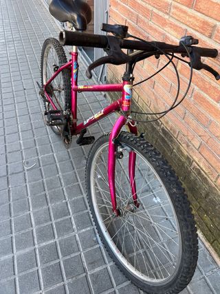 Bicicleta de montaña rosa