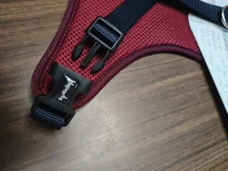 Accesorios para perros