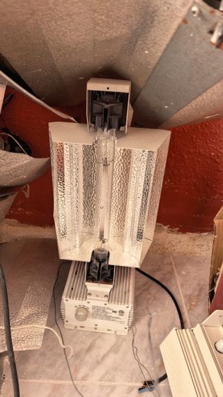 Lote Luces Floristería