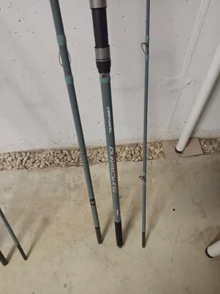 Canne da pesca Vercelli ENYGMA ITALICA