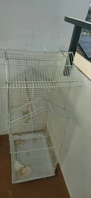 Jaula para pájaros blanca