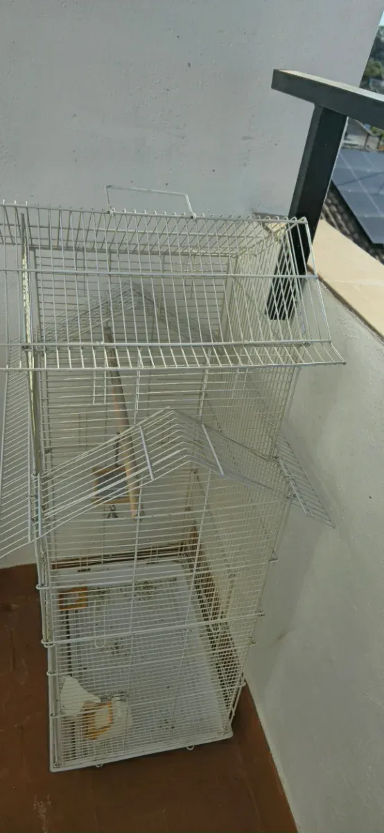 Jaula para pájaros blanca