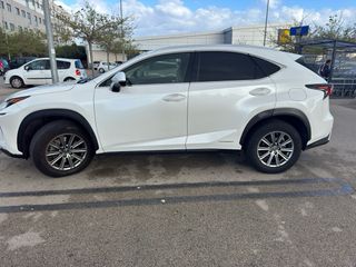 Lexus NX 300 197 cv 2019