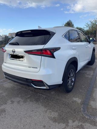 Lexus NX 300 197 cv 2019