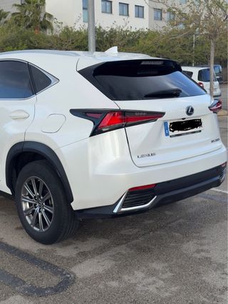 Lexus NX 300 197 cv 2019