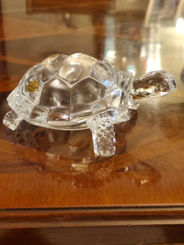 Tortuga Cristal D'Arques Plomo Genuino