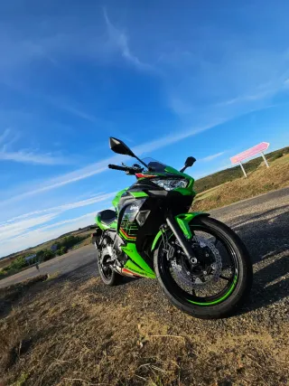 Kawasaki Ninja 650 KRT 2023