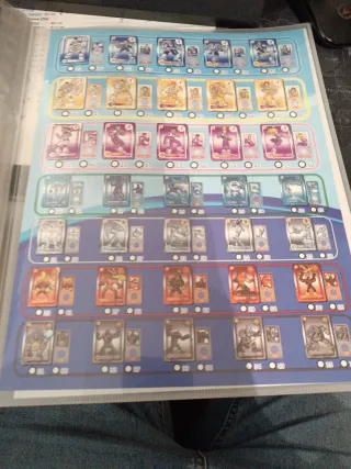 Cromos Nuevo Equipo Actimel Panini