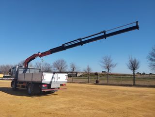 MAN TGM 18 290-CAMIONES GRUA