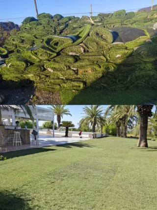 Césped Artificial Rollo