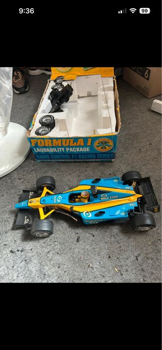 Coche Fórmula 1 Renault (Fernando Alonso)