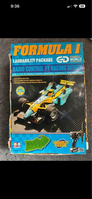 Coche Fórmula 1 Renault (Fernando Alonso)