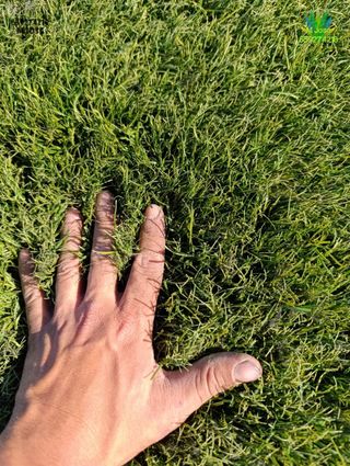 Césped artificial reciclado