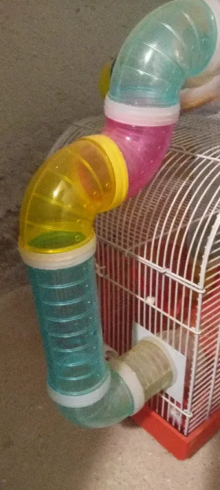 Jaula Hámster con Tubos Accesorios