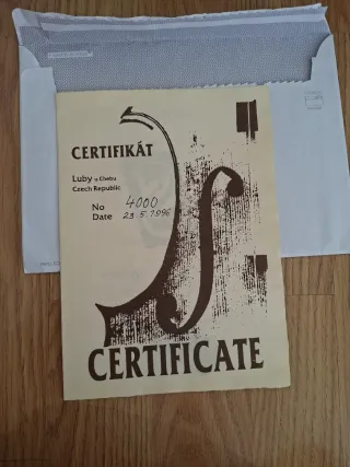 Violín Dvorak con arco,cuerdas ycertificado Lutier