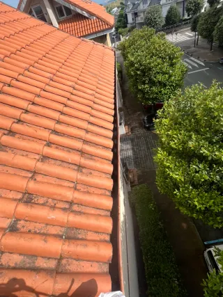 Limpieza de tejados y canalones
