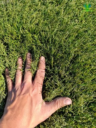 Césped artificial reciclado