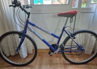 Bicicleta Globe Trotter Azul
