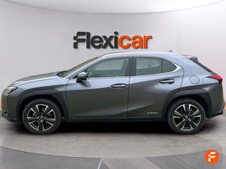 Lexus UX 2.0 250h Business
