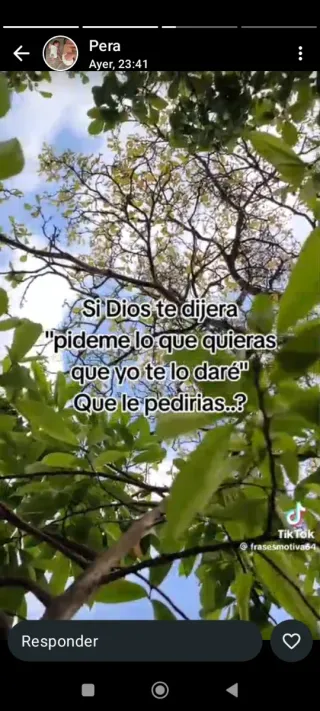 Vaciado de chalets y pisos económico