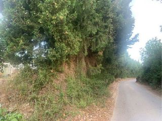 Terreno en venta en Turís