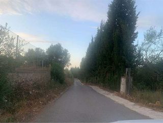 Terreno en venta en Turís