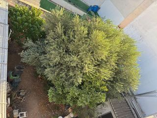 Chalet en venta en La Pastora - La Estación en San Fernando