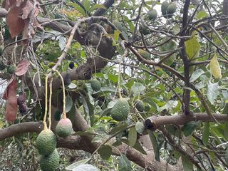 Casa rural en venta en Coín