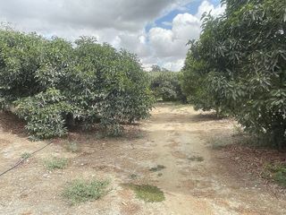 Casa rural en venta en Coín